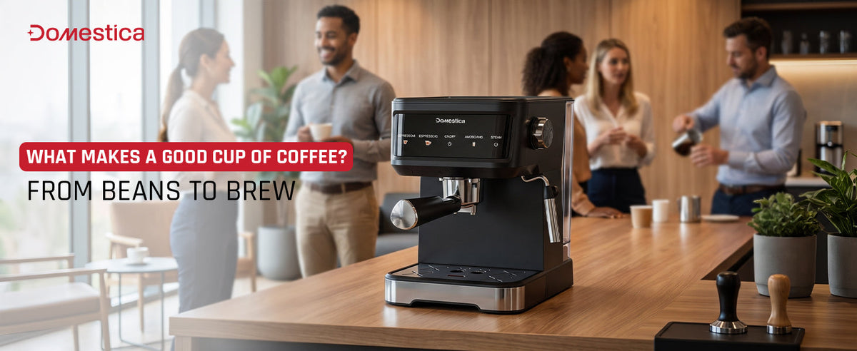 What Makes a Good Cup of Coffee? From Beans to Brew