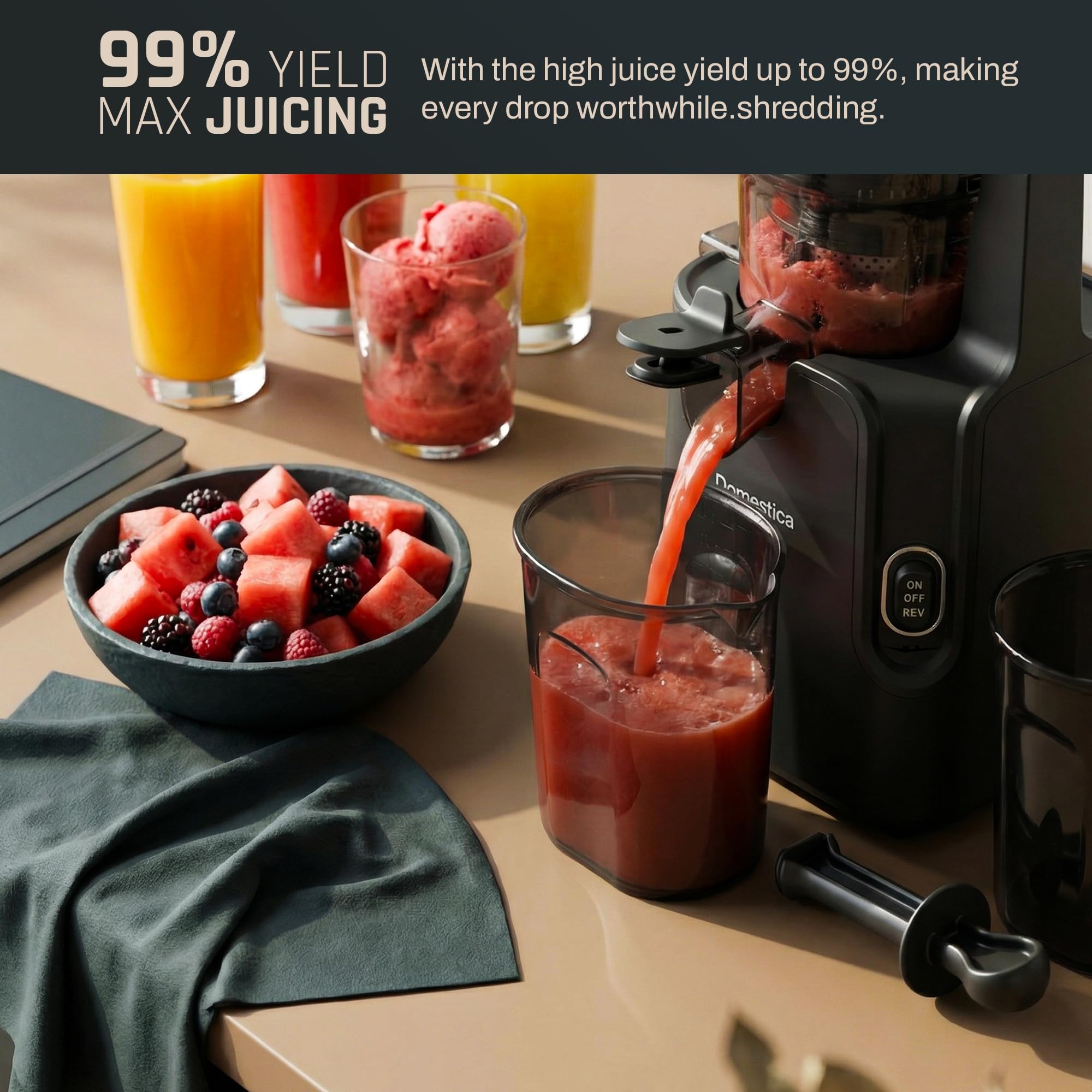 Domestica Dripdrop Pro Cold Press Juicer for Home Slow Juicer for Fruits Veggies & Nut Milk with BLDC Motor