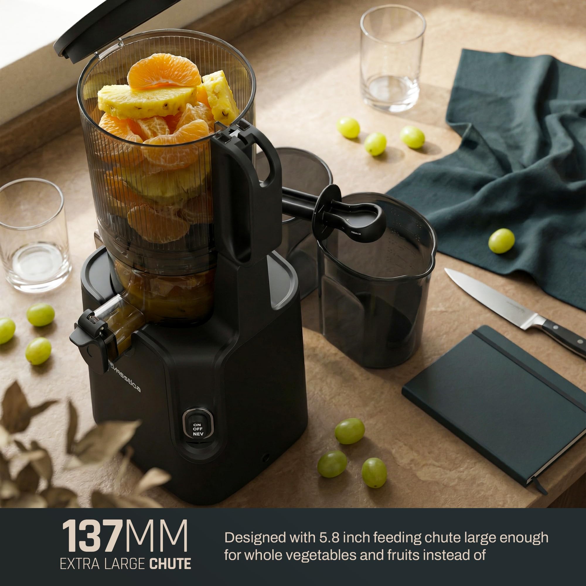 Dripdrop Pro Cold Press Juicer