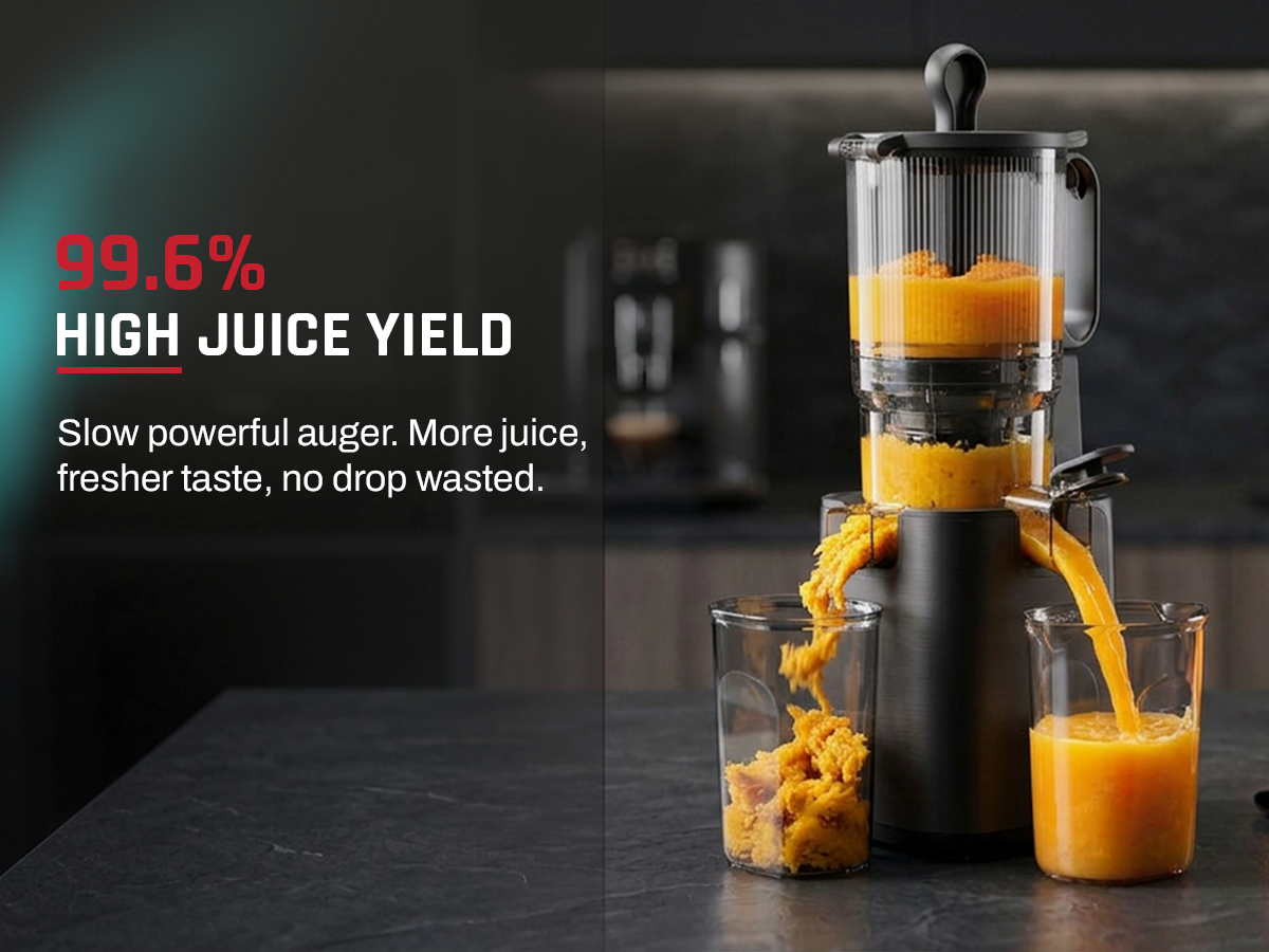 Domestica Dripdrop Pro cold press slow juicer for fresh fruit and vegetable juice
