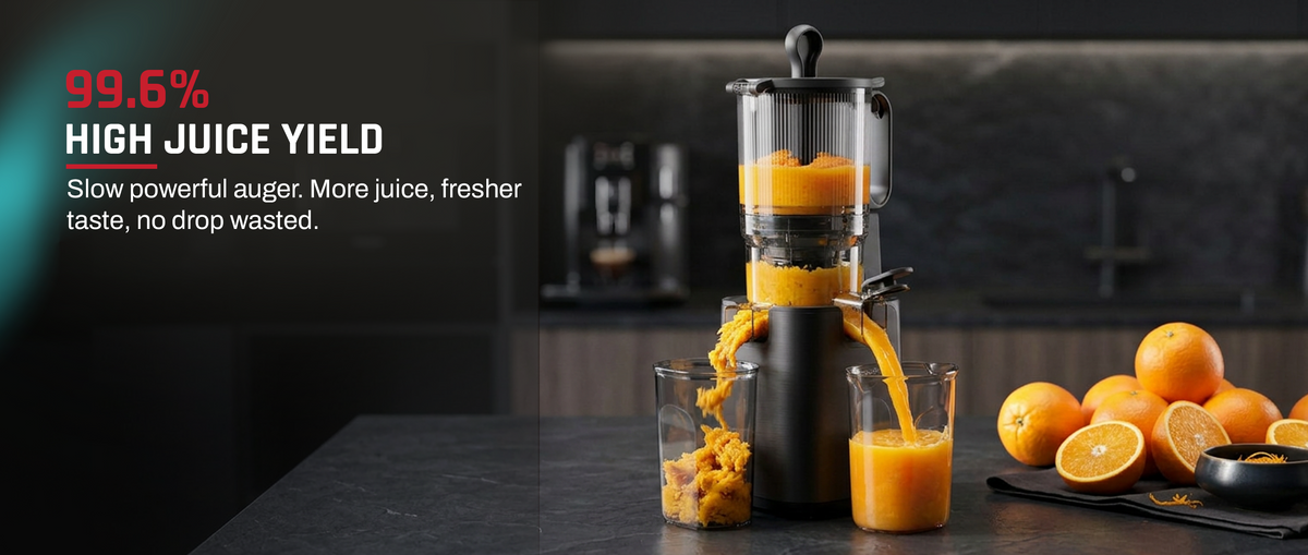 Domestica Dripdrop Pro cold press slow juicer for fresh fruit and vegetable juice
